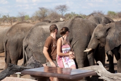 Villiers and his wife Tabby enjoying a magical close-up Elephant experience.